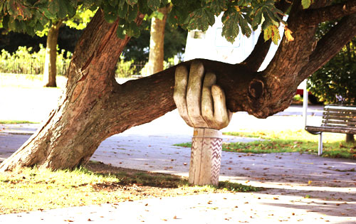 Hand holding a tree up